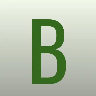 БИРСС, группа компаний, лого-визитка