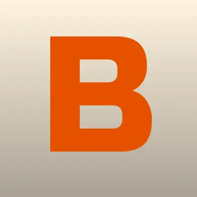 Бытовик-2010, лого-визитка