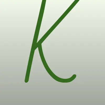 KNturbo, компания, лого-визитка