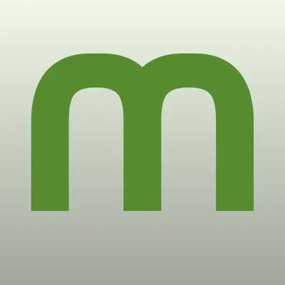 Магазин гелиевых шаров, лого-визитка