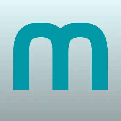 Мехстрой, компания по сдаче в аренду спецтехники, лого-визитка
