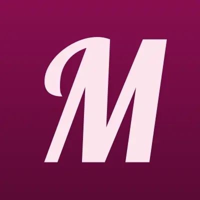 Multimedia Security Systems, лого-визитка
