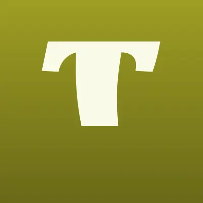 Техномакс, компания, лого-визитка