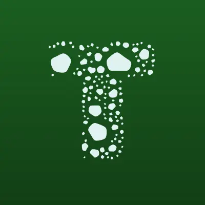 Тофлекс, компания, лого-визитка