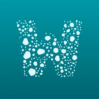 WSS Consulting, IT-компания, лого-визитка