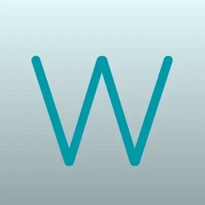 WWWstudio.ru, лого-визитка